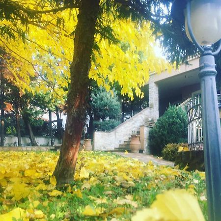 Arxontiko Vetrina Hotel Kültér fotó