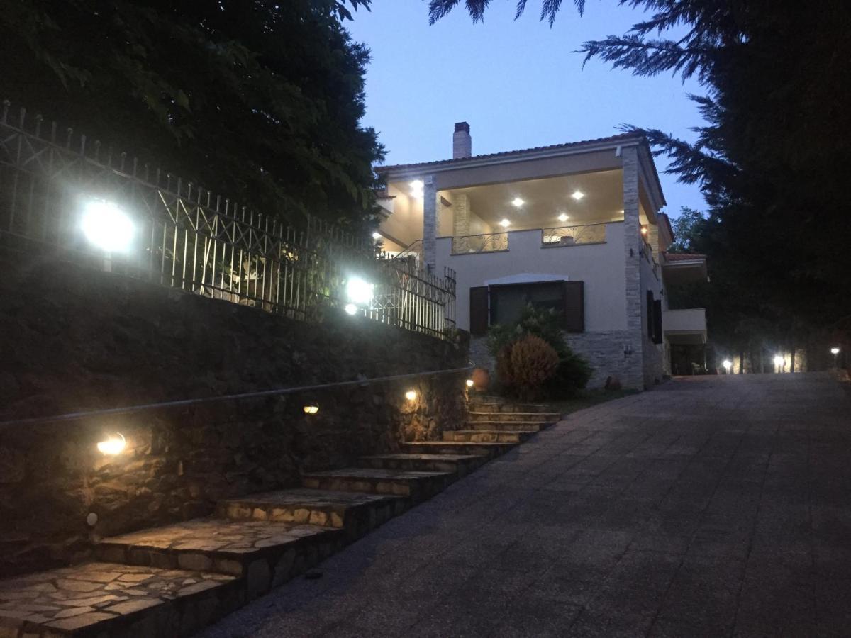 Arxontiko Vetrina Hotel Kültér fotó