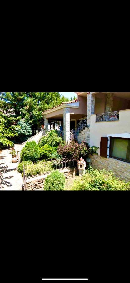Arxontiko Vetrina Hotel Kültér fotó